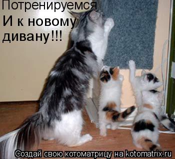 Потренируемся И к новому дивану!!!... Котоматрица: Потренируемся И к новому дивану!!!