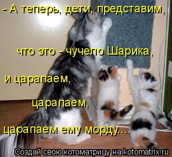 - А теперь, дети, представим, что это - чучело Шарика, и царапаем, царапаем, царапаем ему морду....... Котоматрица: - А теперь, дети, представим, что это - чучело Шарика, и царапаем, царапаем, царапаем ему морду....
