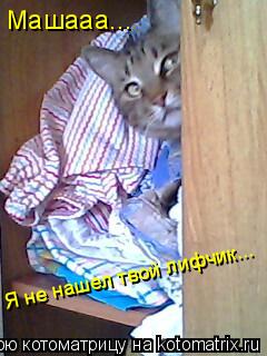 Машааа... Я не нашел твой лифчик...... Котоматрица: Машааа... Я не нашел твой лифчик...