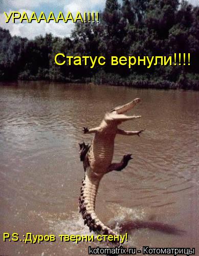 УРААААААА!!!! Статус вернули!!!! P.S.:Дуров тверни стену!... Котоматрица: УРААААААА!!!! Статус вернули!!!! P.S.:Дуров тверни стену!