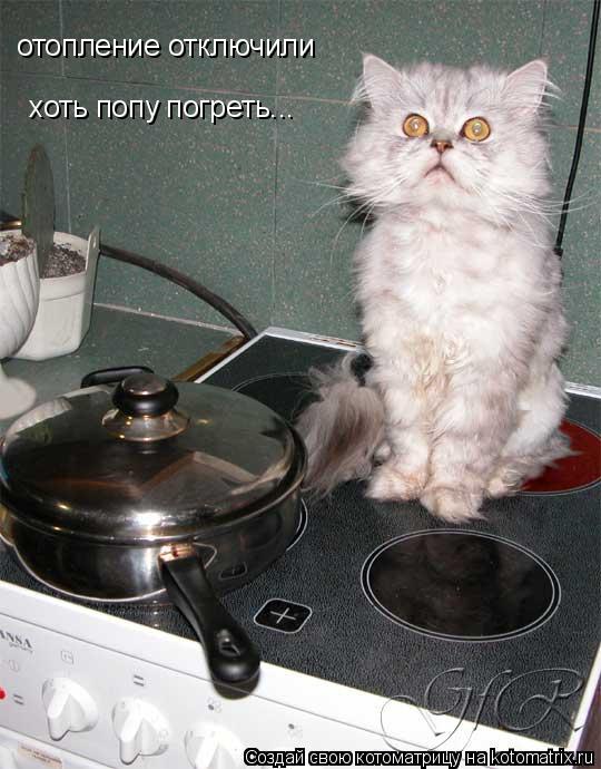 отопление отключили хоть попу погреть...... Котоматрица: отопление отключили хоть попу погреть...