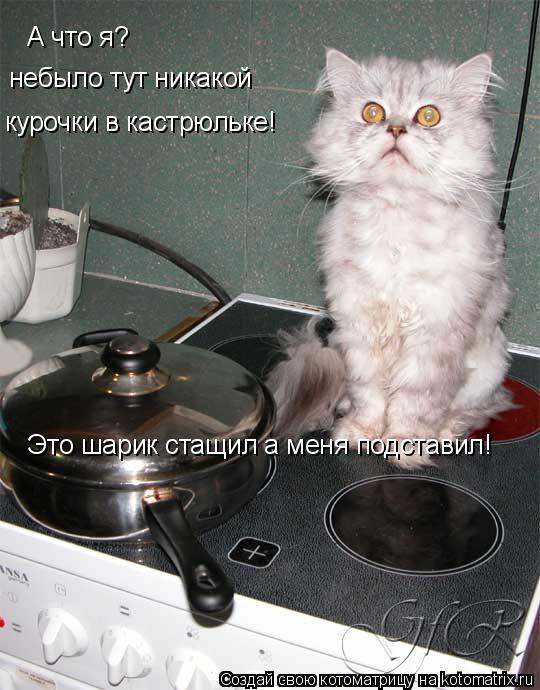 А что я? небыло тут никакой курочки в кастрюльке! Это шарик стащил а меня подставил!... Котоматрица: А что я? небыло тут никакой курочки в кастрюльке! Это шарик стащил а меня подставил!