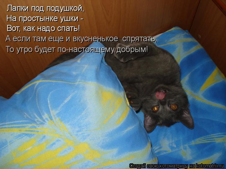 Лапки под подушкой, На простынке ушки - Вот, как надо спать! А если там еще и вкусненькое спрятать, ... Котоматрица: Лапки под подушкой, На простынке ушки - Вот, как надо спать! А если там еще и вкусненькое спрятать, То утро будет по-настоящему добрым!