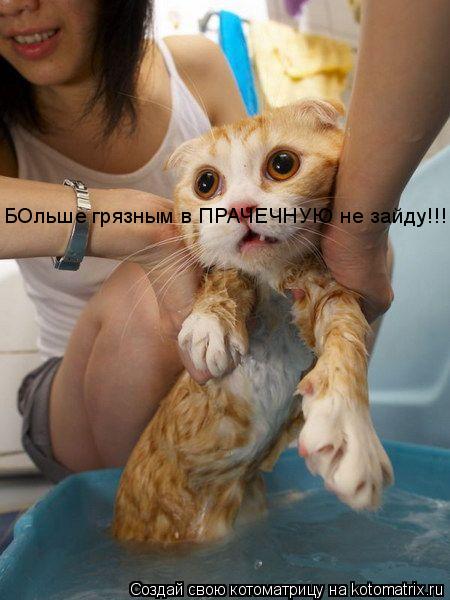 Котоматрица: БОльше грязным в ПРАЧЕЧНУЮ не зайду!!!!