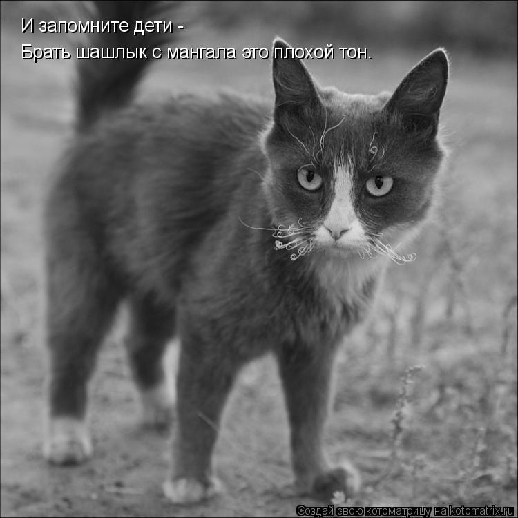 Брать шашлык с мангала это плохой тон. И запомните дети -... Котоматрица: Брать шашлык с мангала это плохой тон. И запомните дети -