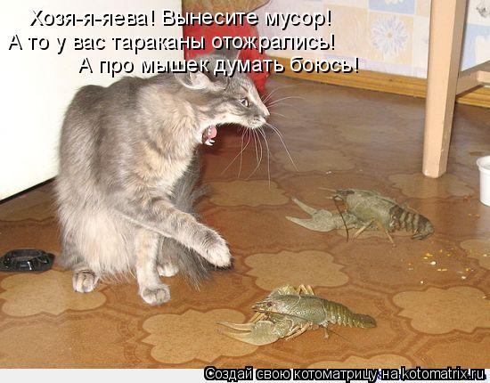 Котоматрица: Хозя-я-яева! Вынесите мусор!  А то у вас тараканы отожрались!  А про мышек думать боюсь!