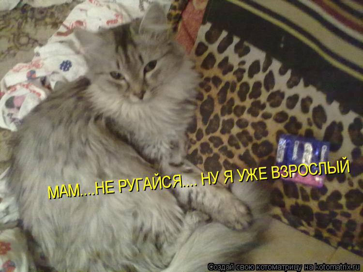 МАМ....НЕ РУГАЙСЯ.... НУ Я УЖЕ ВЗРОСЛЫЙ... Котоматрица: МАМ....НЕ РУГАЙСЯ.... НУ Я УЖЕ ВЗРОСЛЫЙ