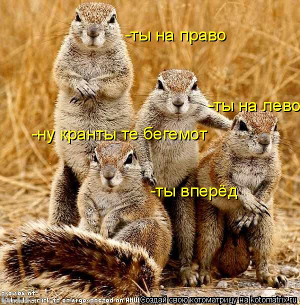-ты на лево -ты на право -ты вперёд -ну кранты те бегемот... Котоматрица: -ты на лево -ты на право -ты вперёд -ну кранты те бегемот