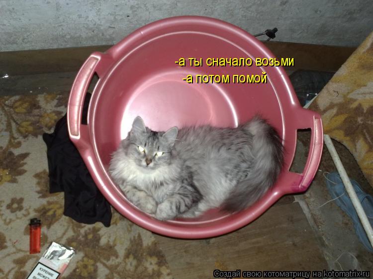 Котоматрица: -а ты сначало возьми -а потом помой