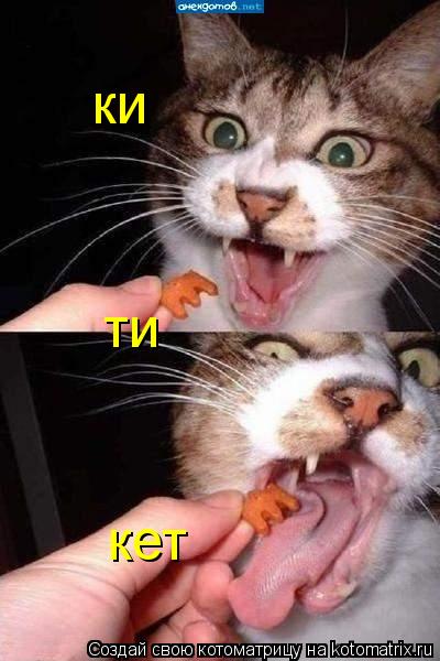 Котоматрица: ки ти кет