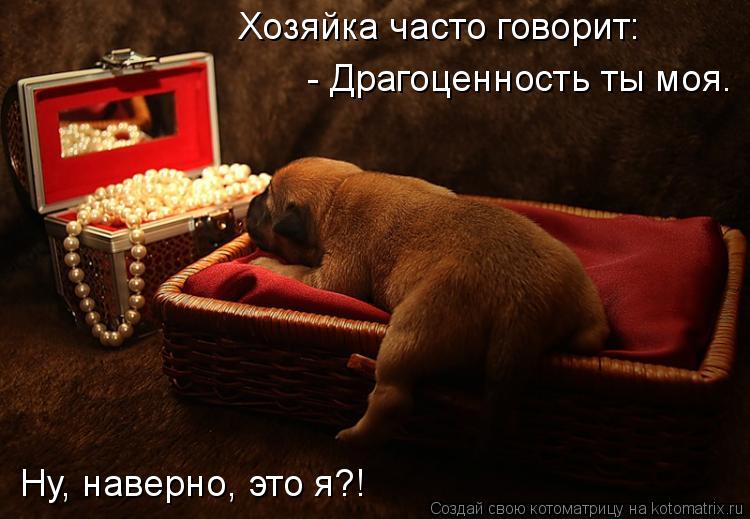 Котоматрица: Хозяйка часто говорит: - Драгоценность ты моя. Ну, наверно, это я?!