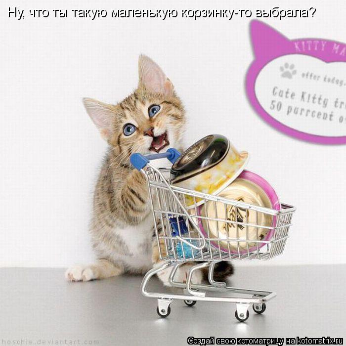 Ну, что ты такую маленькую корзинку-то выбрала?... Котоматрица: Ну, что ты такую маленькую корзинку-то выбрала?