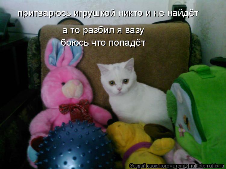 притварюсь игрушкой никто и не найдёт а то разбил я вазу боюсь что попадёт... Котоматрица: притварюсь игрушкой никто и не найдёт а то разбил я вазу боюсь что попадёт