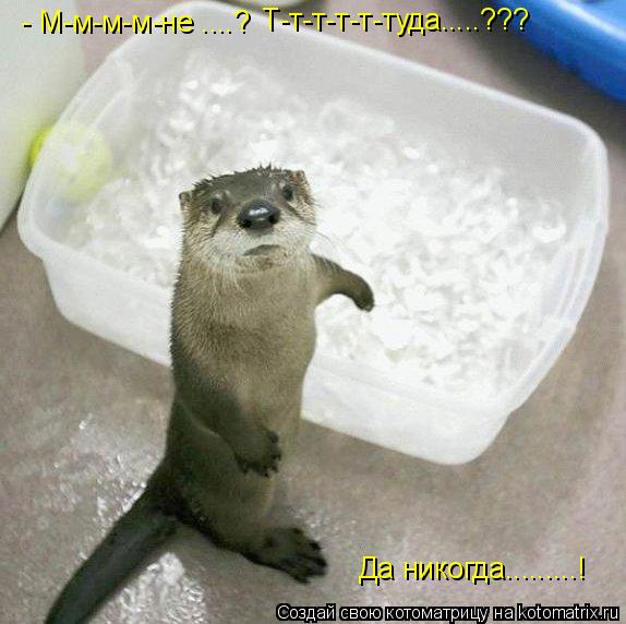 - М-м-м-м-не ....? Т-т-т-т-т-туда.....??? Да никогда.........!... Котоматрица: - М-м-м-м-не ....? Т-т-т-т-т-туда.....??? Да никогда.........!