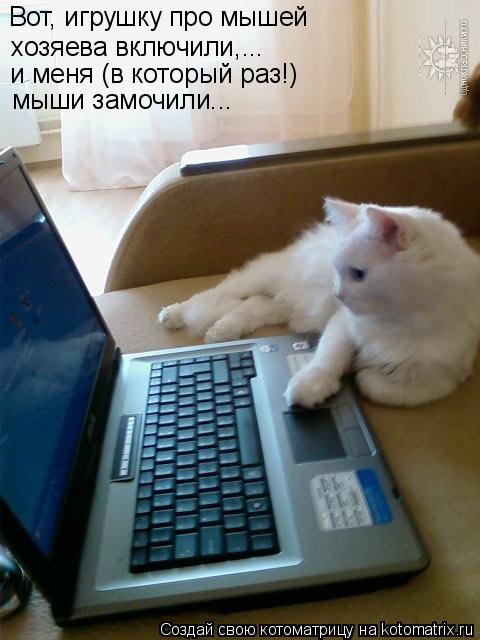 Котоматрица: Вот, игрушку про мышей  хозяева включили,... и меня (в который раз!) мыши замочили...