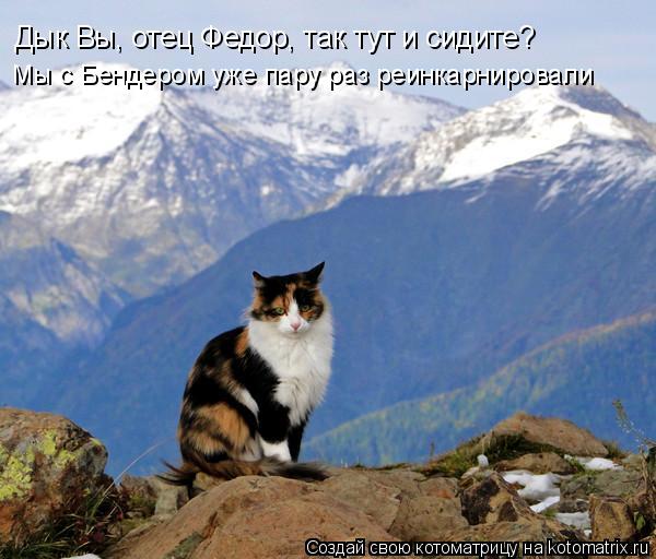 Дык Вы, отец Федор, так тут и сидите? Мы с Бендером уже пару раз реинкарнировали... Котоматрица: Дык Вы, отец Федор, так тут и сидите? Мы с Бендером уже пару раз реинкарнировали