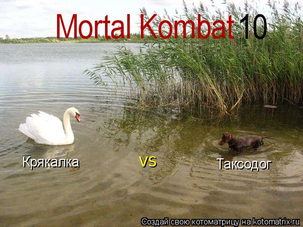 Крякалка Таксодог VS Mortal Kombat 10... Котоматрица: Крякалка Таксодог VS Mortal Kombat 10