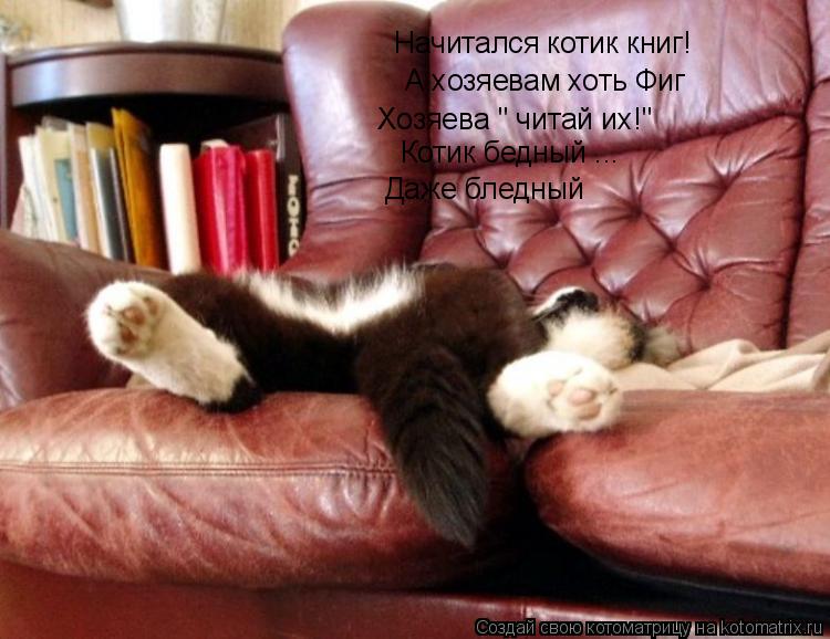 Начитался котик книг! А хозяевам хоть Фиг Хозяева " читай их!" Котик бедный ... Даже бледный... Котоматрица: Начитался котик книг! А хозяевам хоть Фиг Хозяева " читай их!" Котик бедный ... Даже бледный