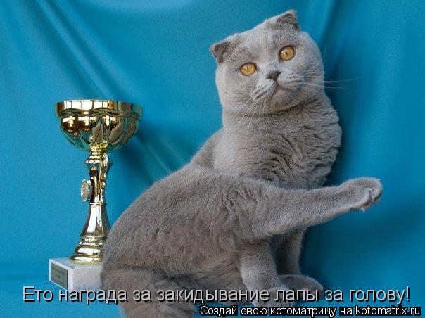 Ето награда за закидывание лапы за голову!... Котоматрица: Ето награда за закидывание лапы за голову!