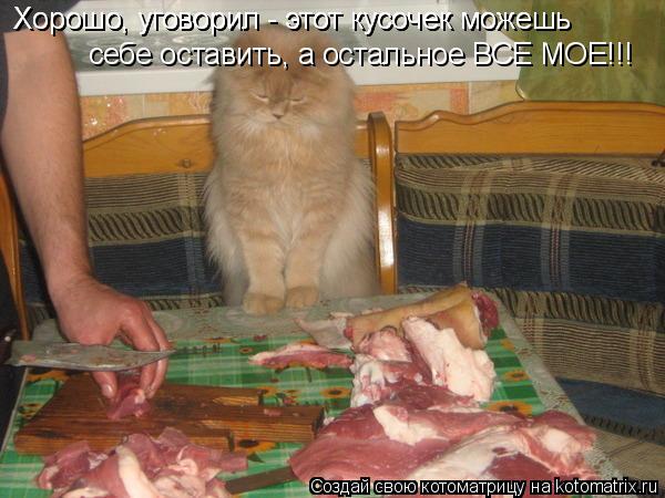 Хорошо, уговорил - этот кусочек можешь Хорошо, уговорил - этот кусочек можешь себе оставить, а осталь... Котоматрица: Хорошо, уговорил - этот кусочек можешь Хорошо, уговорил - этот кусочек можешь себе оставить, а остальное ВСЕ МОЕ!!!