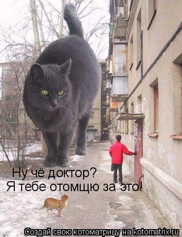 Ну чё доктор? Я тебе отомщю за это!... Котоматрица: Ну чё доктор? Я тебе отомщю за это!
