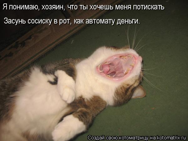 Я понимаю, хозяин, что ты хочешь меня потискать Засунь сосиску в рот, как автомату деньги.... Котоматрица: Я понимаю, хозяин, что ты хочешь меня потискать Засунь сосиску в рот, как автомату деньги.