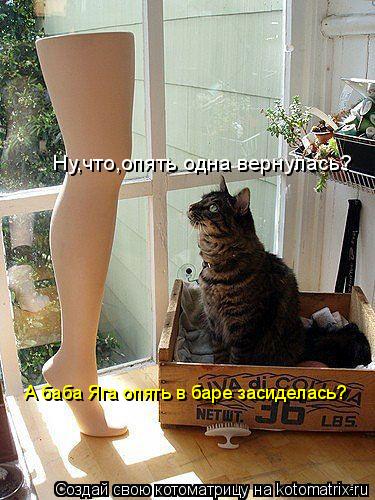 Котоматрица: Ну,что,опять одна вернулась? А баба Яга опять в баре засиделась?