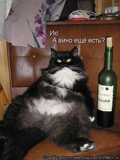 Котоматрица: Ик! А вино ещё есть?