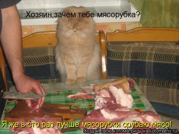 Котоматрица: Хозяин,зачем тебе мясорубка? Я же в сто раз лучше мясорубки срубаю мясо!