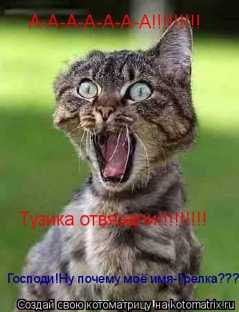 Котоматрица: А-А-А-А-А-А-А!!!!!!!!! Тузика отвязали!!!!!!!!! Господи!Ну почему моё имя-Грелка???
