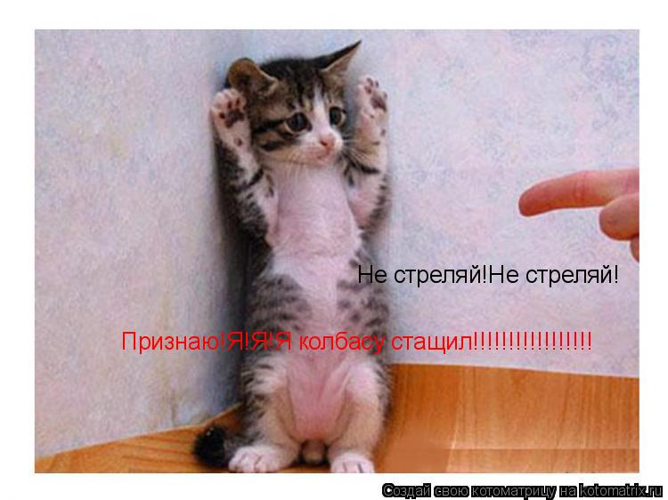 Котоматрица: Не стреляй!Не стреляй! Признаю!Я!Я!Я колбасу стащил!!!!!!!!!!!!!!!!!