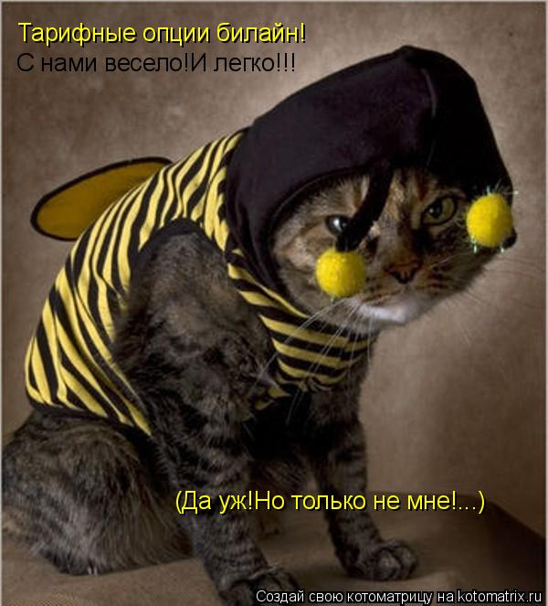 Котоматрица: Тарифные опции билайн! С нами весело!И легко!!! (Да уж!Но только не мне!...)
