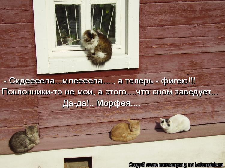 Котоматрица: - Сидеееела...млеееела...., а теперь - фигею!!! Поклонники-то не мои, а этого....что сном заведует...  Да-да!.. Морфея....