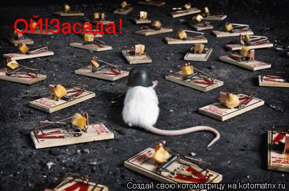 Котоматрица: ОЙ!Засада!