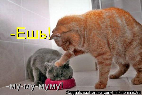 Котоматрица: -Ешь! -му-му-муму!