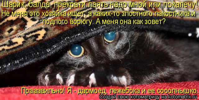 Котоматрица: Шарик, балда, прекрати лаять надо мной или покалечу!  Не меня это хозяйка ищет, а каких-то злостного пакостника и подлого ворюгу. А меня она к