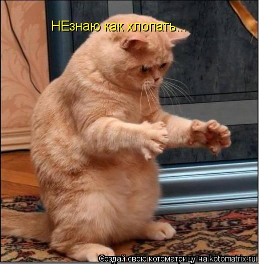 Котоматрица: НЕзнаю как хлопать...