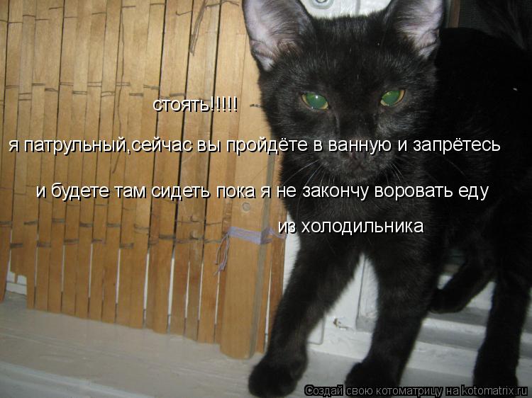 стоять!!!!! я патрульный,сейчас вы пройдёте в ванную и запрётесь и будете там сидеть пока я не законч... Котоматрица: стоять!!!!! я патрульный,сейчас вы пройдёте в ванную и запрётесь и будете там сидеть пока я не закончу воровать еду из холодильника