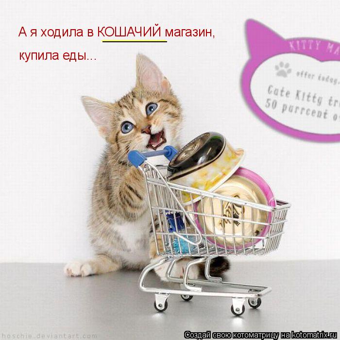 Котоматрица: _________ А я ходила в КОШАЧИЙ магазин, купила еды...