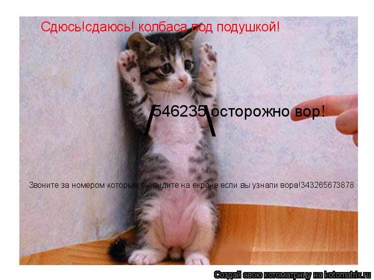 Котоматрица: Сдюсь!сдаюсь! колбаса под подушкой! №546235 осторожно вор! / \ Звоните за номером которым вы видите на екране если вы узнали вора!343265673878