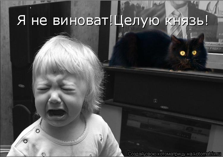 Котоматрица: Я не виноват!Целую князь!