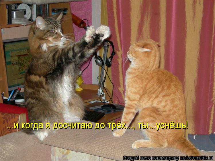 ...и когда я досчитаю до трёх..., ты...уснёшь!... Котоматрица: ...и когда я досчитаю до трёх..., ты...уснёшь!
