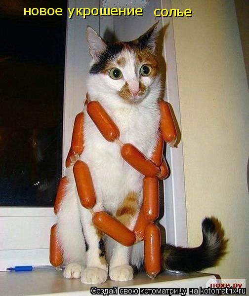 Котоматрица: солье новое укрошение