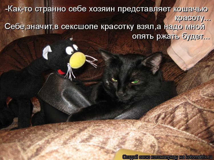 Котоматрица: -Как-то странно себе хозяин представляет кошачью  красоту... Себе,значит,в сексшопе красотку взял,а надо мной опять ржать будет...