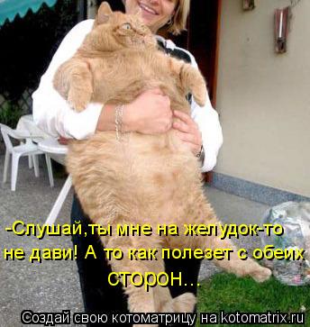 Котоматрица: -Слушай,ты мне на желудок-то не дави! А то как полезет с обеих  сторон...