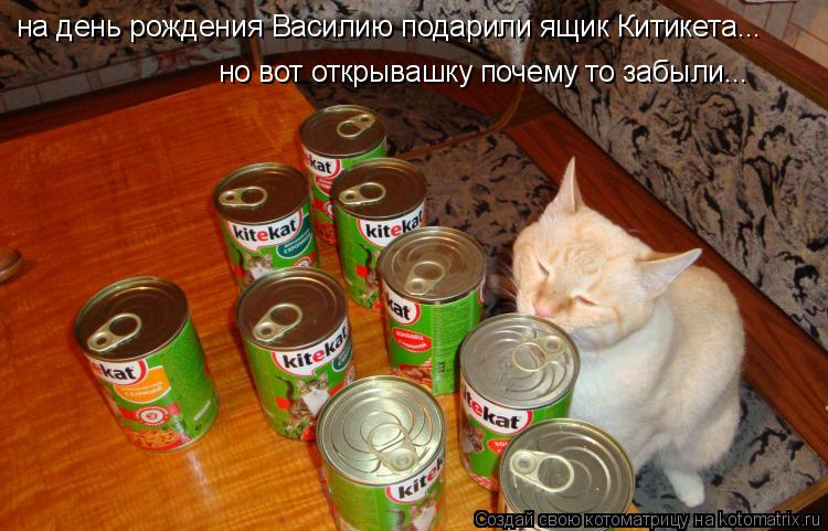 Котоматрица: на день рождения Василию подарили ящик Китикета... но вот открывашку почему то забыли...
