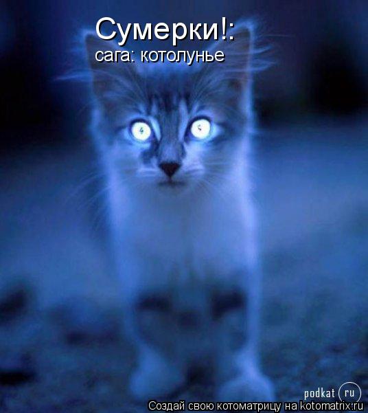 Котоматрица: Сумерки!: сага: котолунье