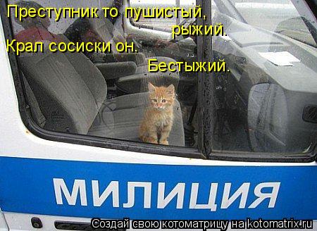 Котоматрица: Преступник то пушистый, рыжий. Крал сосиски он. Бестыжий.