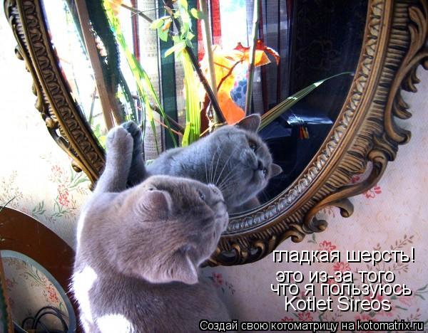Котоматрица: гладкая шерсть! это из-за того что я пользуюсь Kotlet Sireos