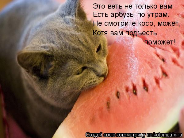 Котоматрица: Это веть не только вам Есть арбузы по утрам. Не смотрите косо, может, Котя вам подъесть  поможет!